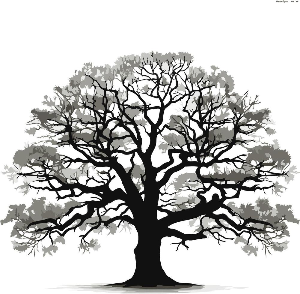 Silhouette of a Mighty Oak Tree vector