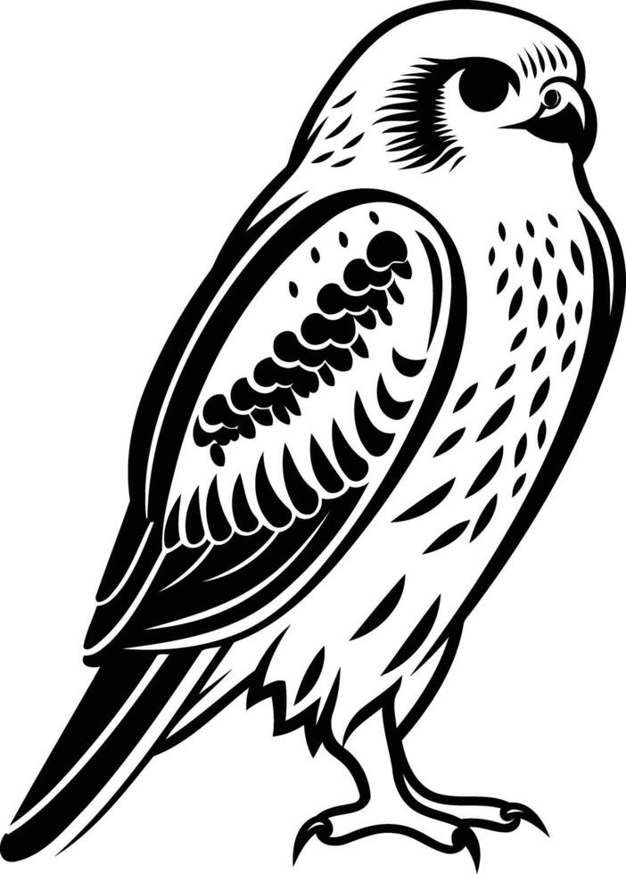 Black and white illustration of a falcon, perfect for a tattoo design, logo, or illustration vector