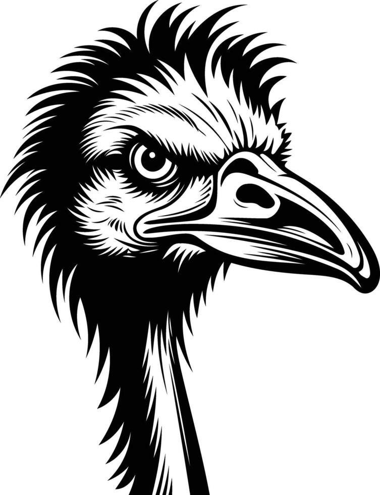 A striking black and white illustration of an ostrich's head, capturing its powerful gaze and distinctive beak vector