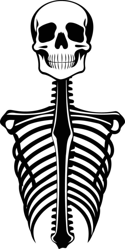 A simple yet powerful black and white illustration of a human skeleton's ribcage and skull vector