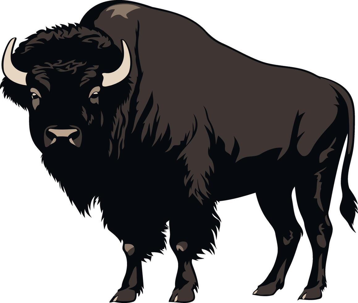 A Powerful Bison Silhouette vector