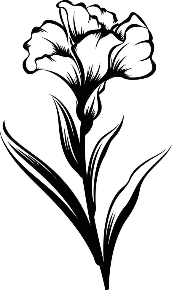Elegant black and white floral illustration of a single carnation, perfect for adding a touch of nature to your designs vector
