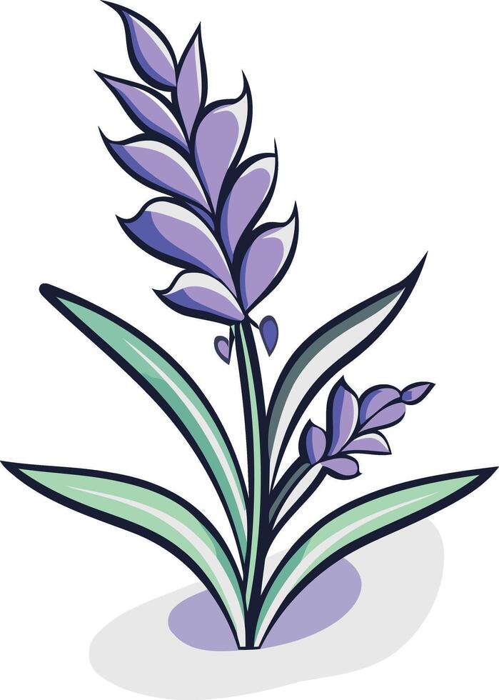A simple, stylized illustration of a lavender plant with purple flowers and green leaves vector