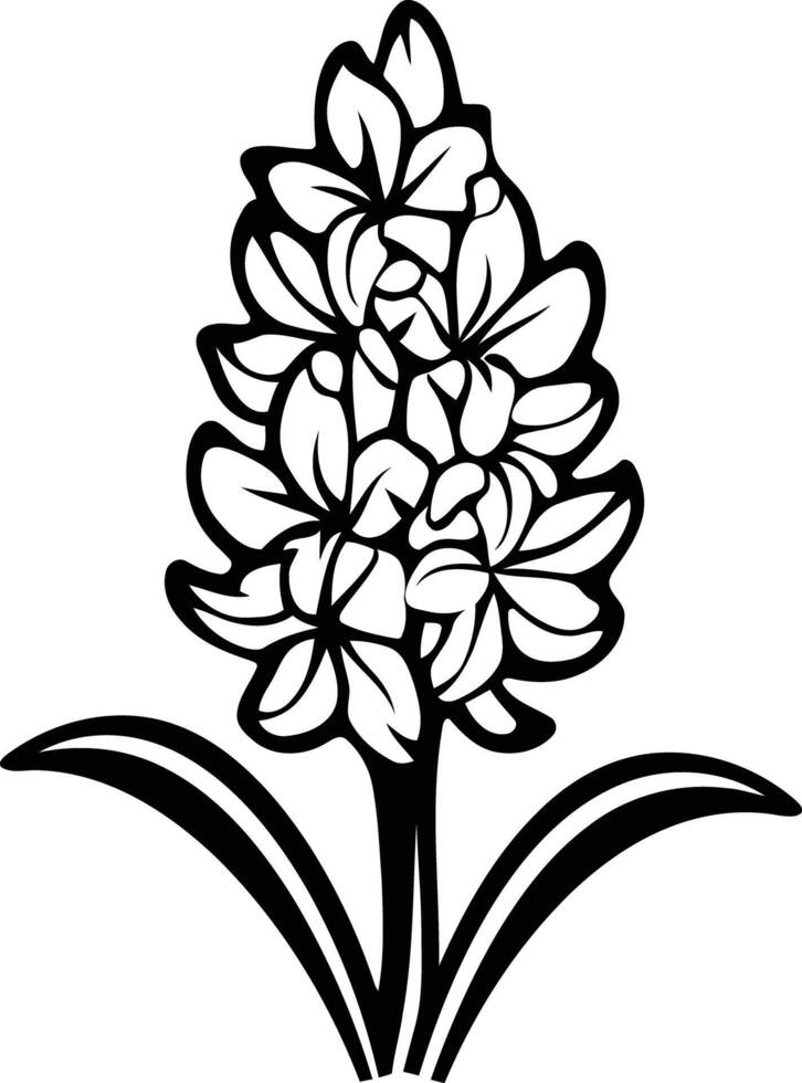 Simple, elegant black and white illustration of a hyacinth flower vector