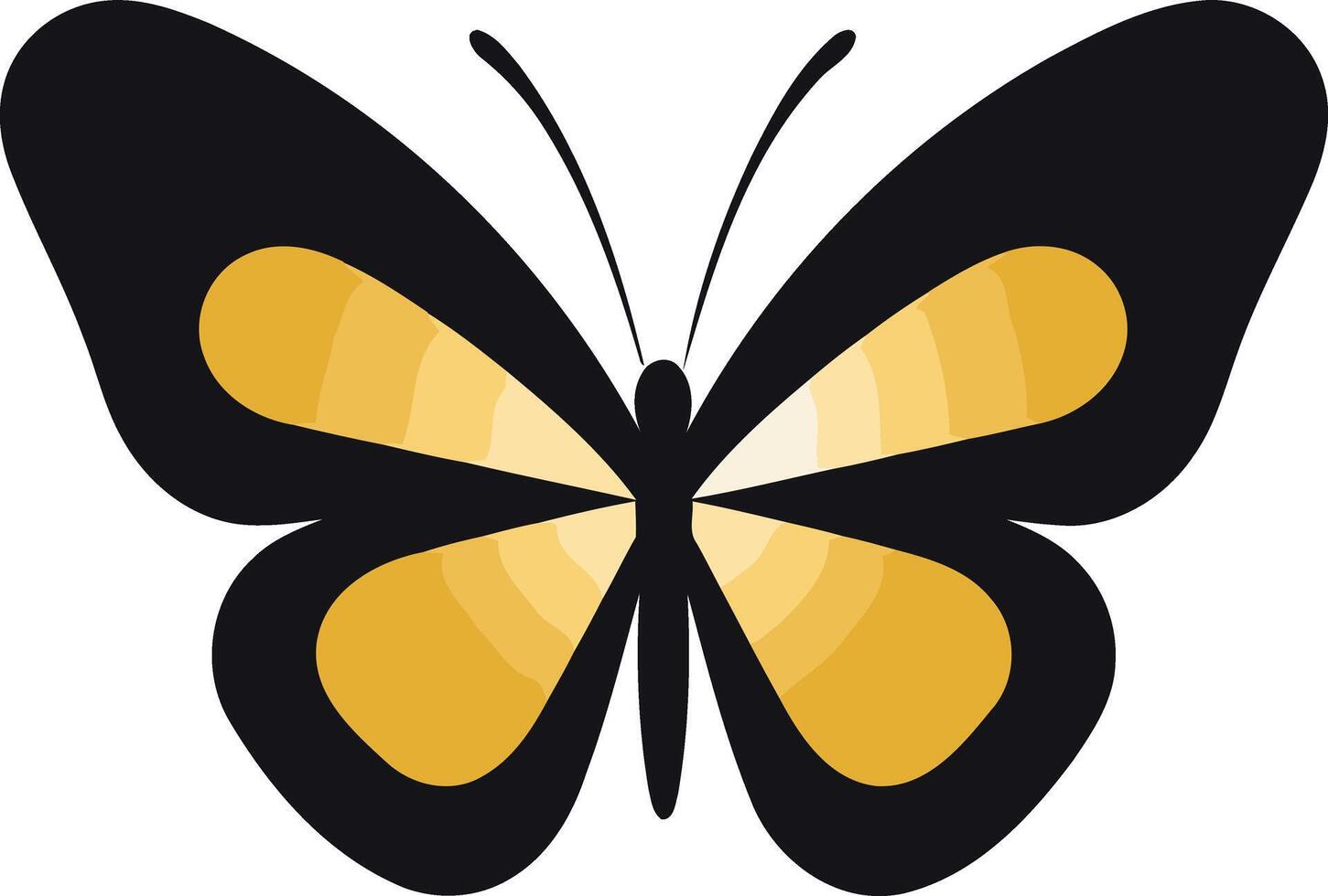 Yellow Butterfly with Black Wings vector