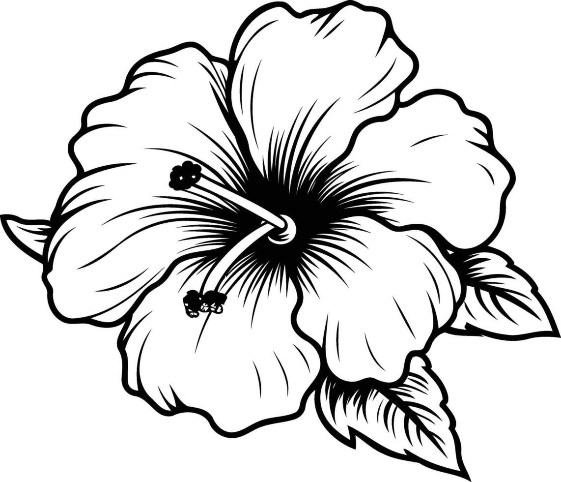 Black and white line art illustration of a hibiscus flower, perfect for tattoo designs, floral patterns, and tropical themes vector