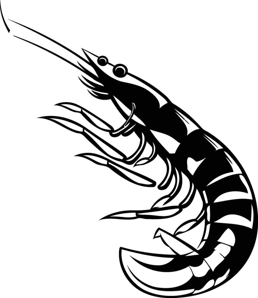 Black and white illustration of a shrimp, perfect for seafood menus, t shirt designs, or branding vector