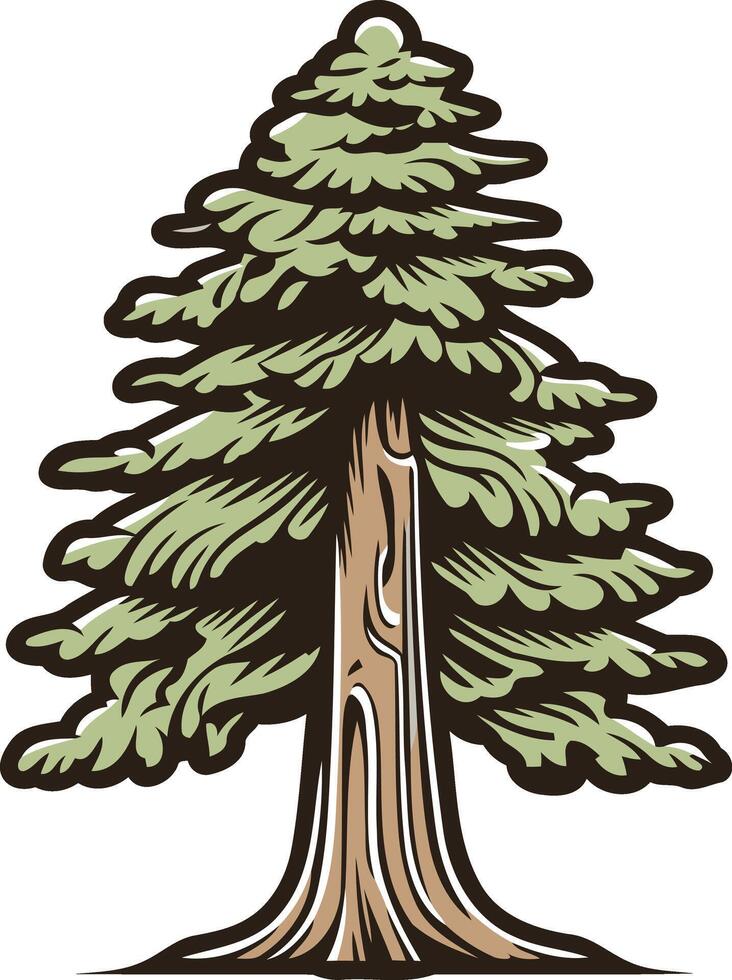 A classic, hand drawn illustration of a tall evergreen tree vector