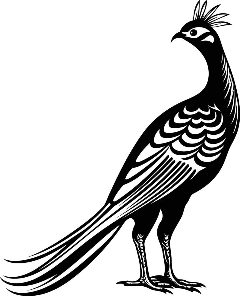 Black and white illustration of a stylized peacock with intricate detailing vector