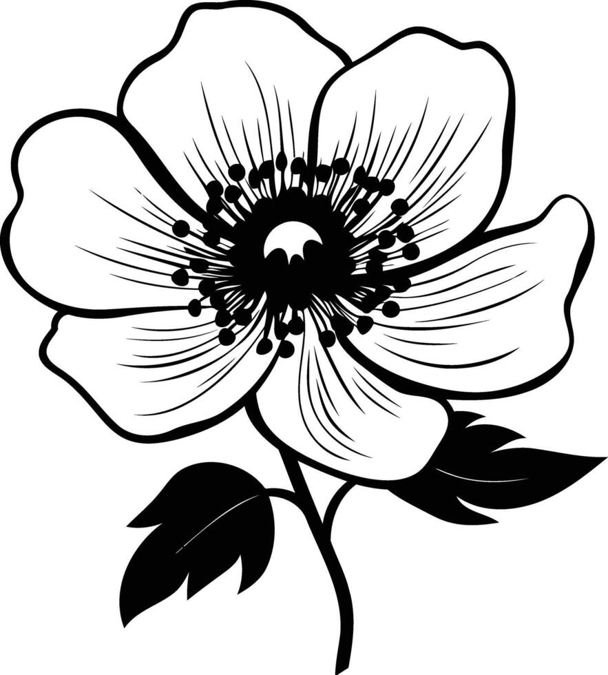 A delicate and elegant black and white illustration of a single blossom vector