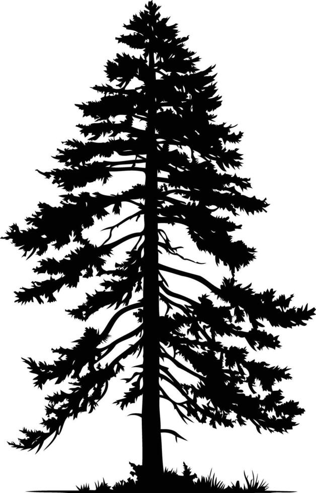 A striking silhouette of a tall evergreen tree, perfect for nature-themed designs, logos, or illustrations vector