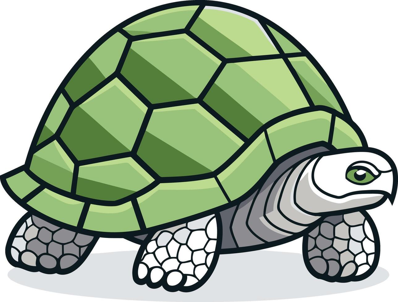Cute cartoon turtle with a green shell and white eyes vector