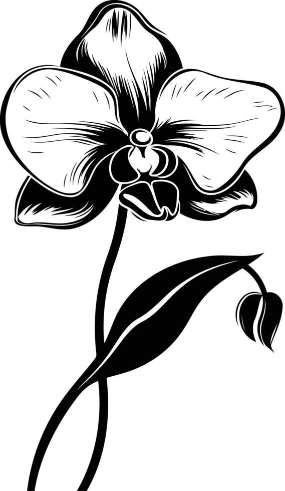 Elegant black and white silhouette of a single orchid flower vector