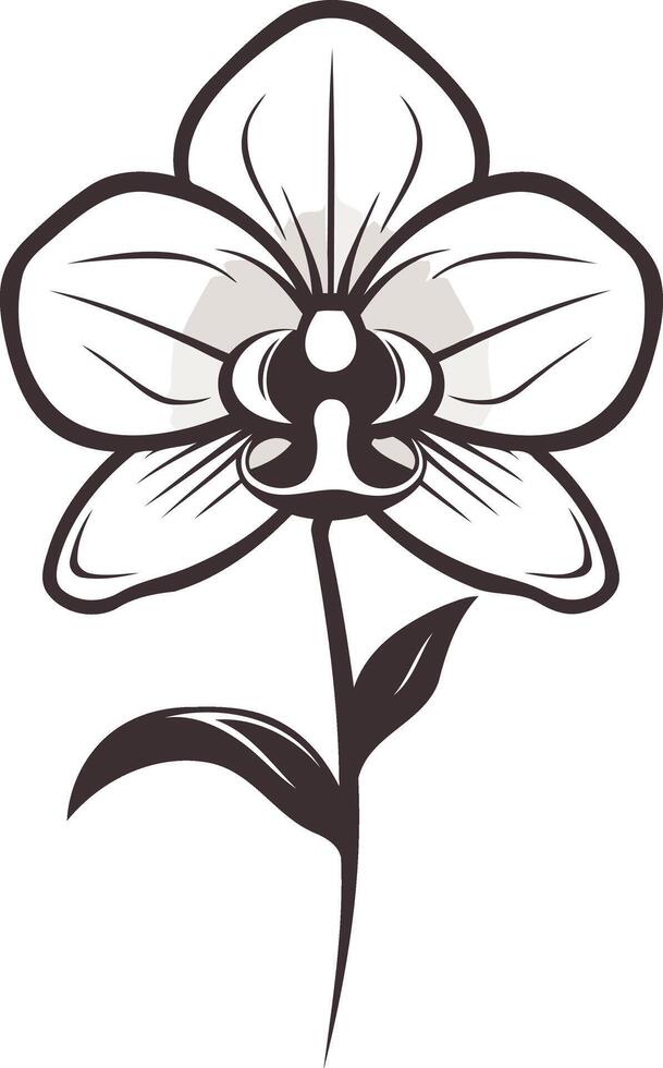 Elegant line art illustration of a single orchid flower vector
