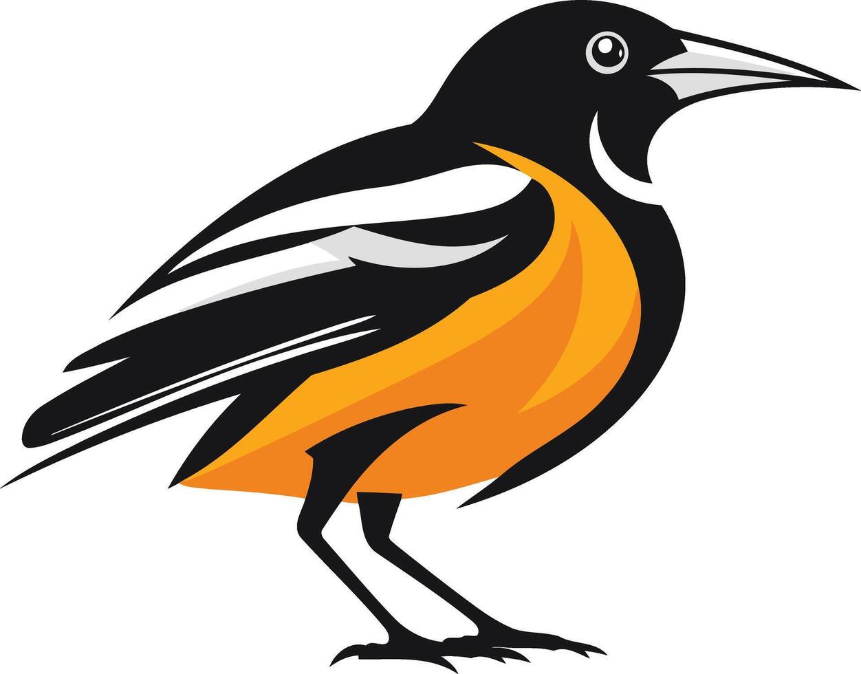 A stylized illustration of a baltimore oriole, a vibrant bird with black, orange, and white plumage vector