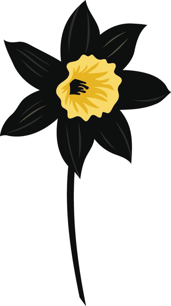 Black Narcissus Flower with Yellow Center vector