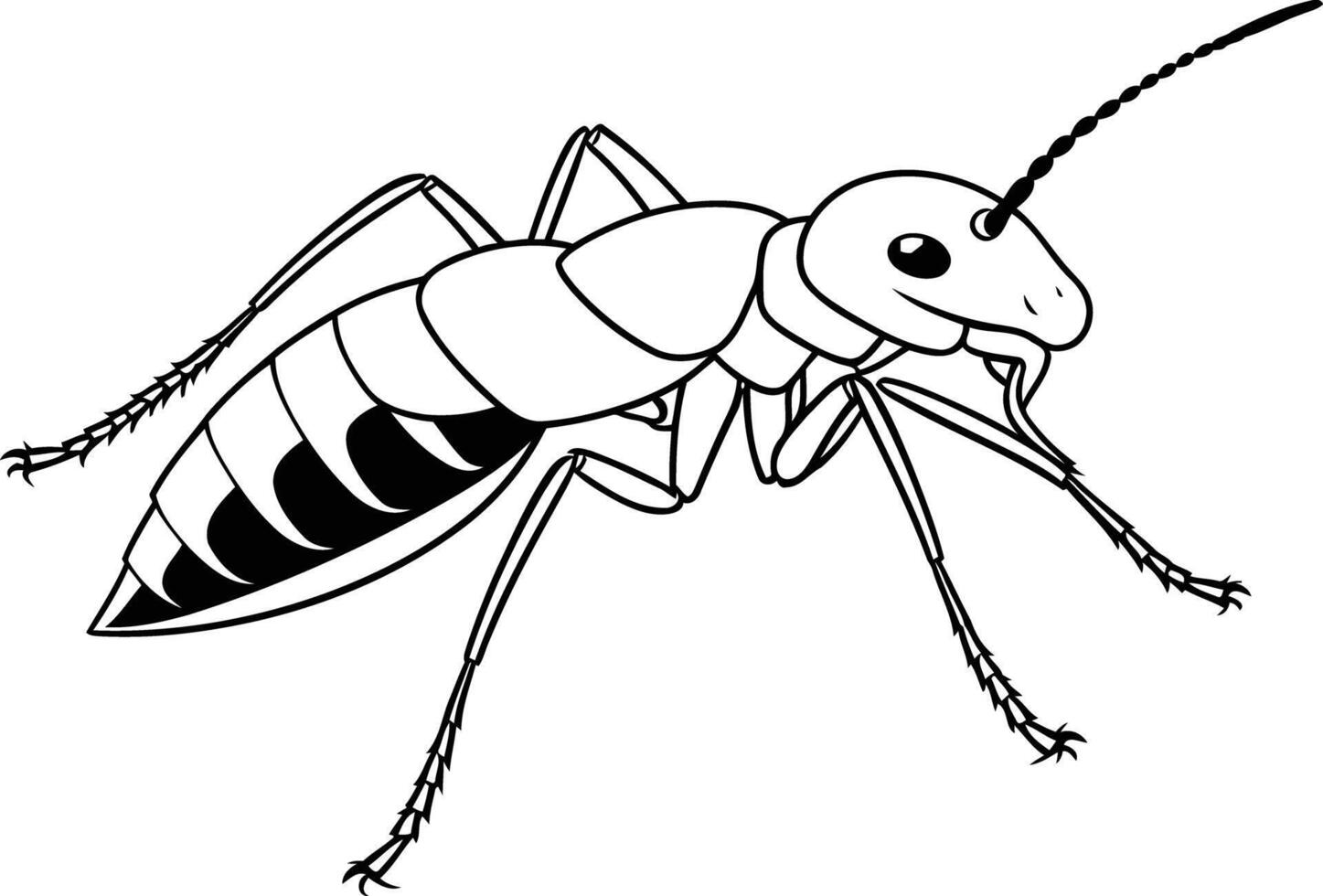 Black and white line drawing of an ant, perfect for educational materials or coloring pages vector
