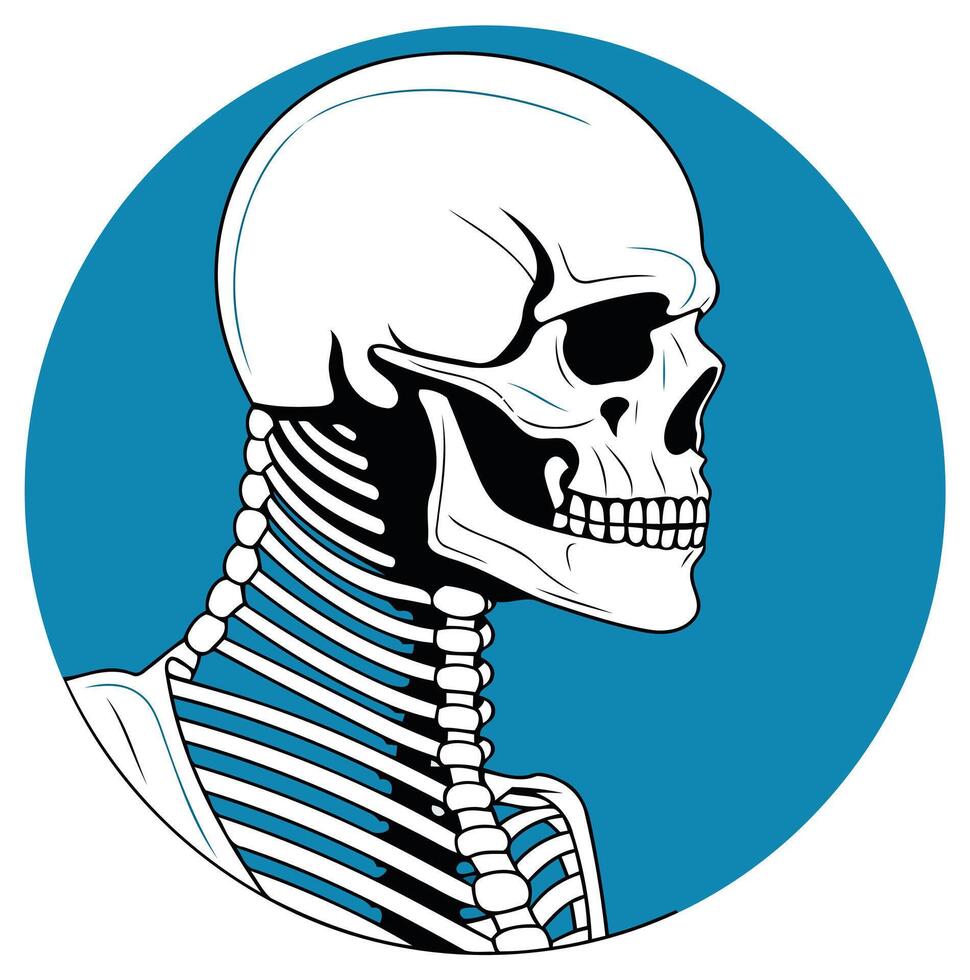 A simple, bold illustration of a human skull with visible neck bones, set against a vibrant blue background vector