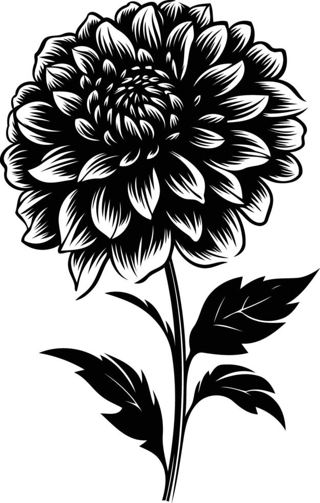 Elegant black and white silhouette of a single dahlia flower with leaves, perfect for adding a touch of botanical beauty to your designs vector