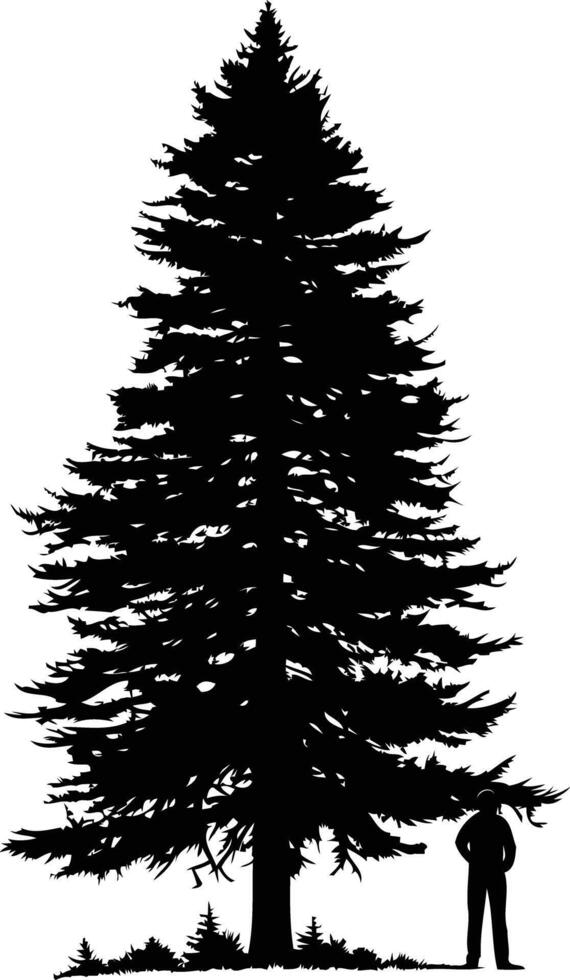 Silhouette of a tall pine tree with a man standing beneath its branches vector
