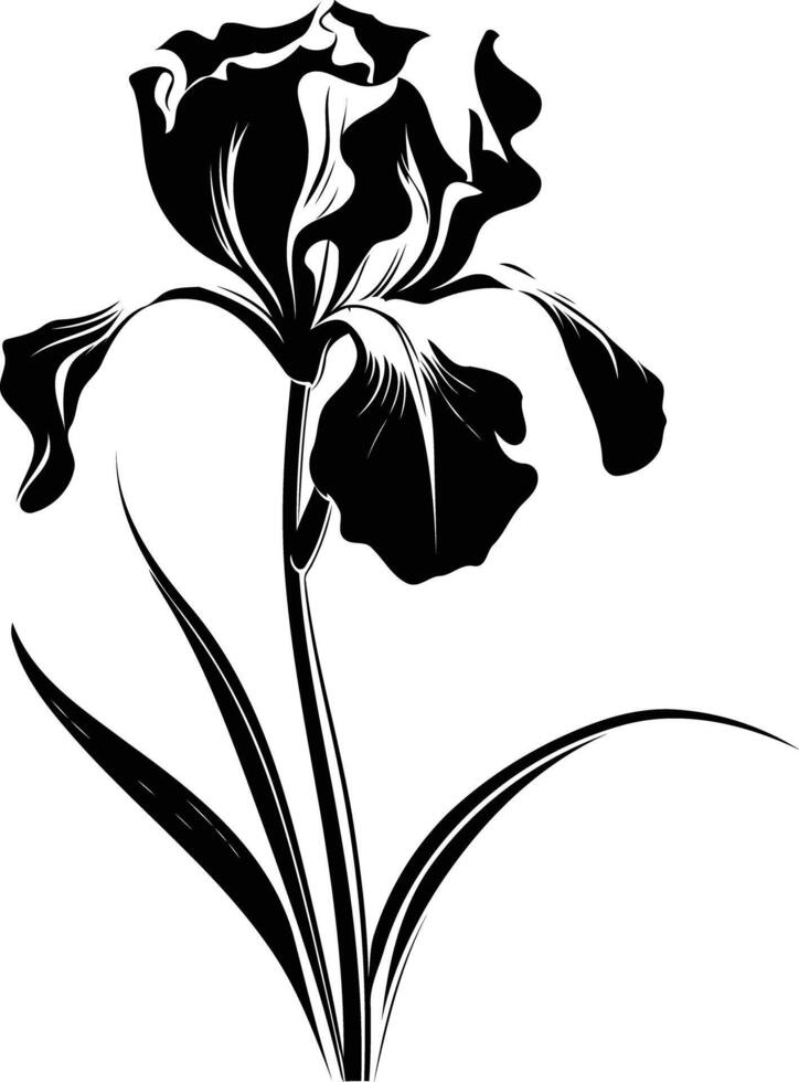 Elegant black and white silhouette of an iris flower vector