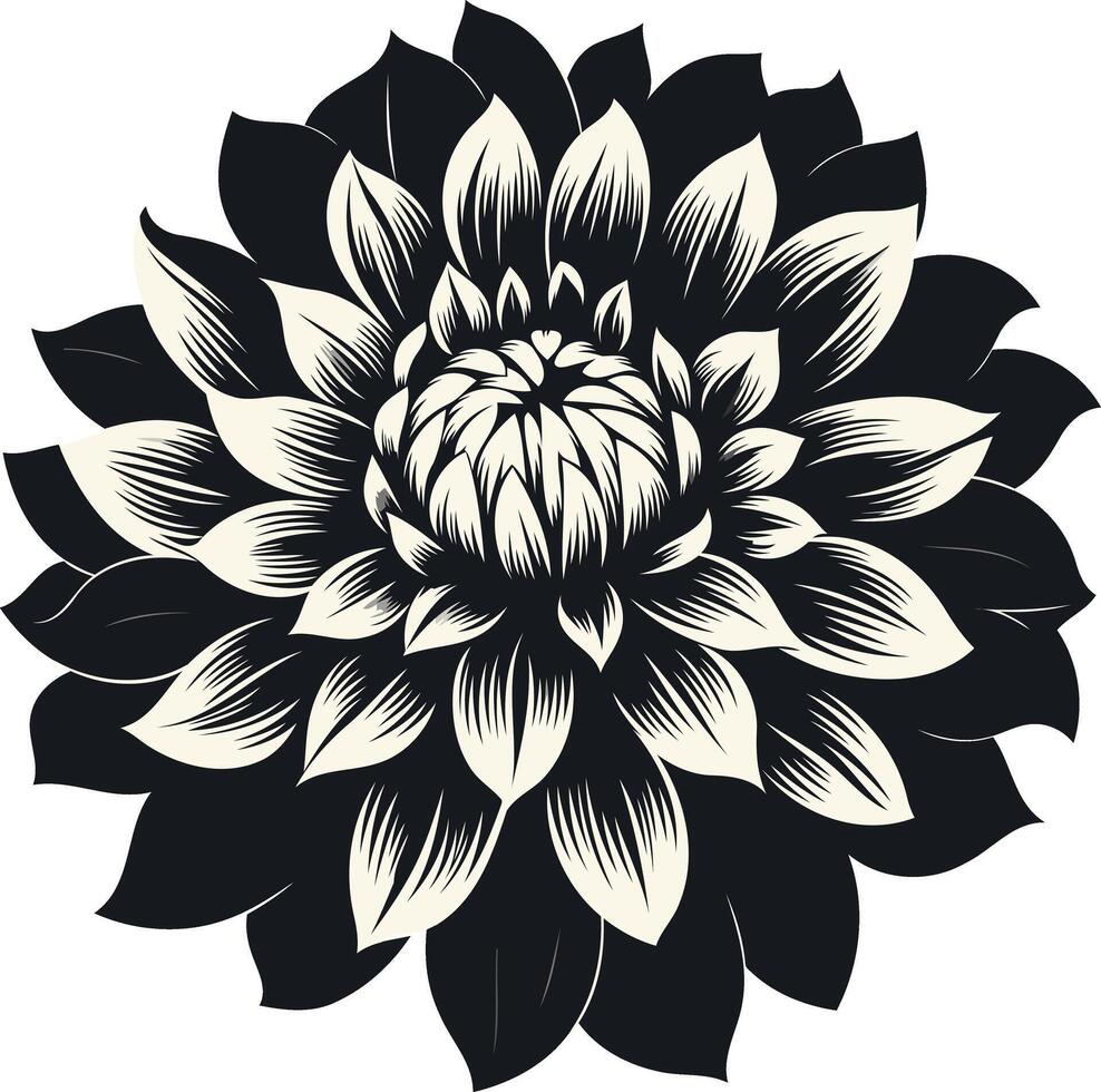 Black and White Vintage Dahlia Illustration vector