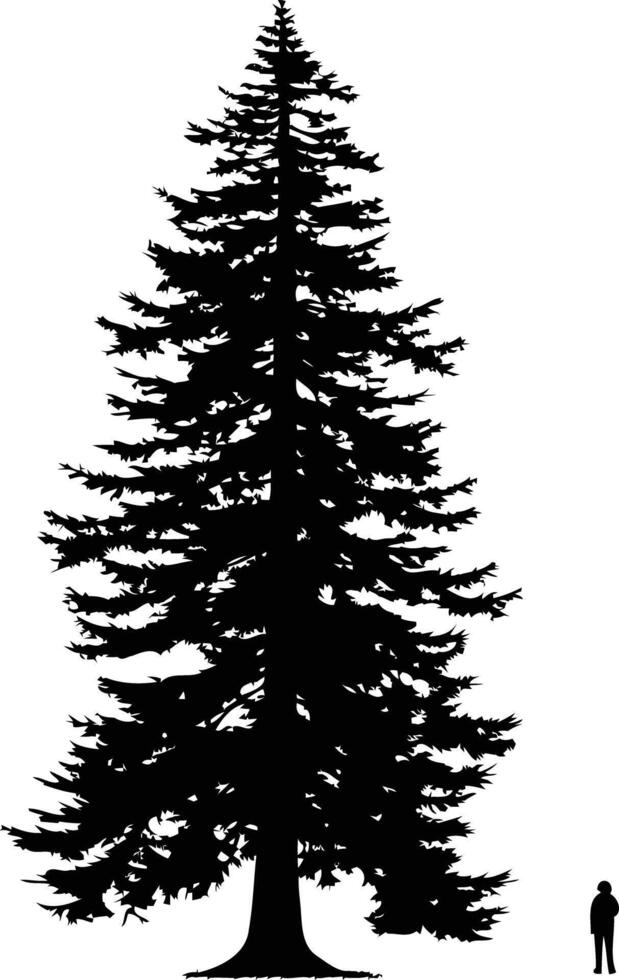 A majestic silhouette of a towering pine tree, perfect for adding a touch of nature to your designs vector