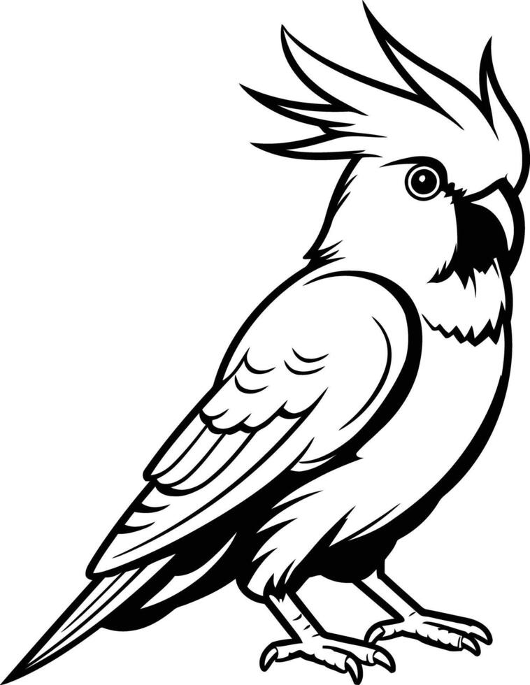 Black and White Illustration of a Cockatoo vector