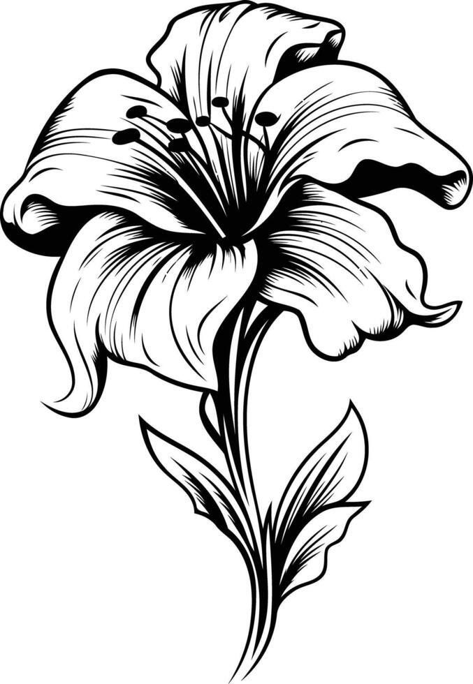 Elegant black and white lily flower illustration perfect for tattoo designs, floral patterns, and vintage aesthetics vector