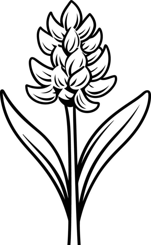 Black and white line art illustration of a hyacinth flower vector