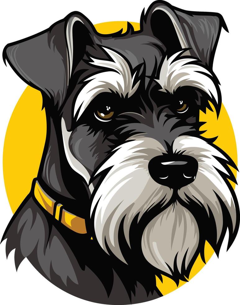 A cute and friendly miniature schnauzer with a yellow collar, looking directly at the viewer vector