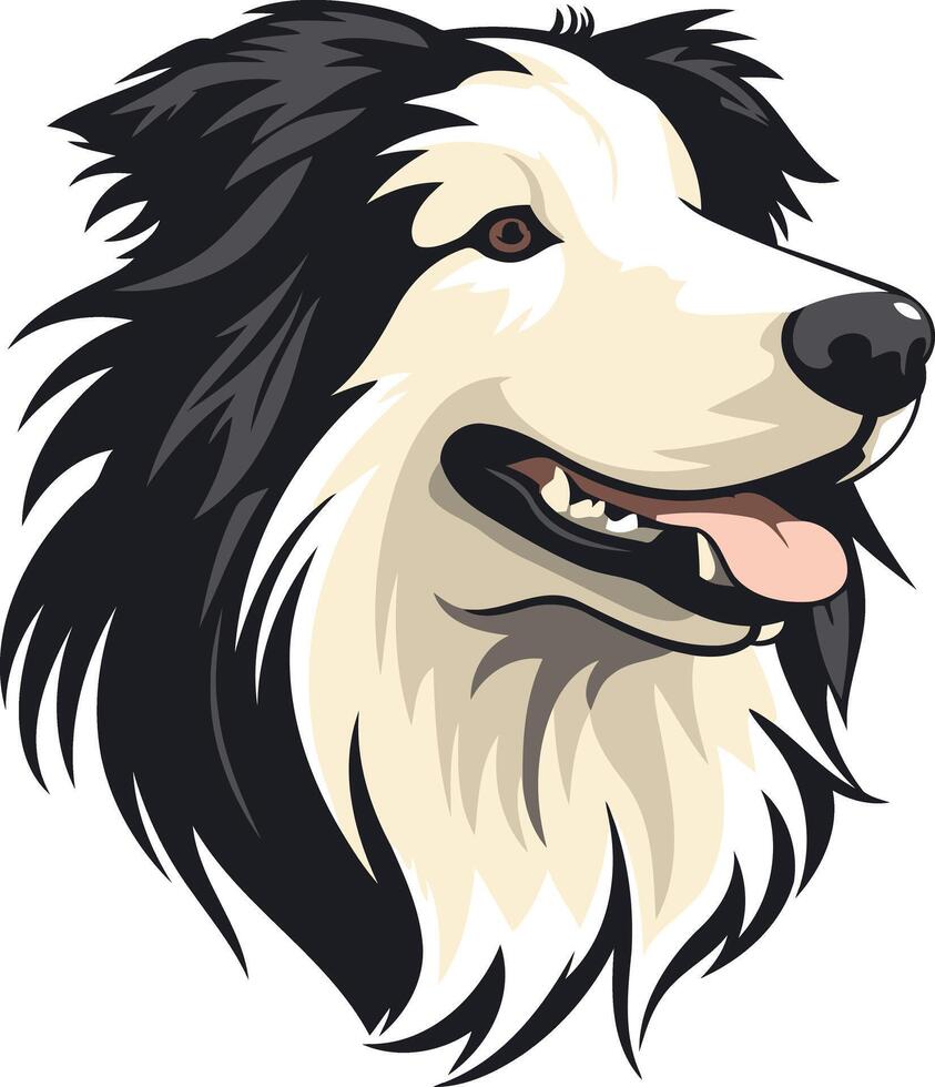 A friendly border collie with black and white fur, looking to the right with a happy expression vector