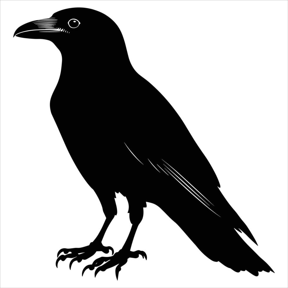 A black silhouette raven on a white background vector