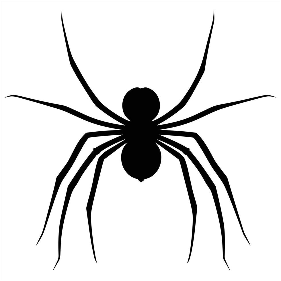 A black silhouette spider on a white background vector