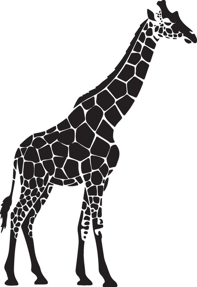 Giraffe Silhouette on White Background, Giraffe Silhouette, Giraffe Isolated on White vector