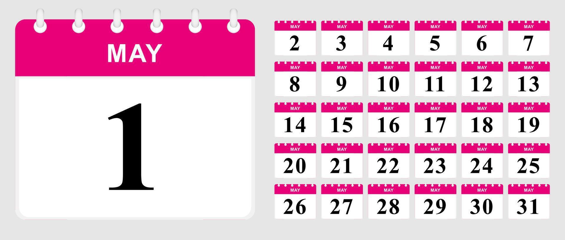 Days calendar of May. Calendar template. vector