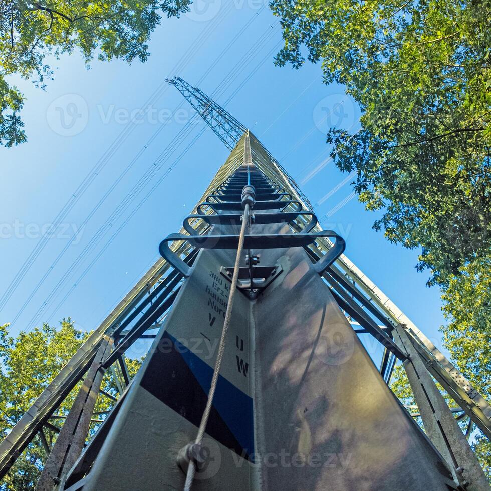 Image of a tall electricity pylon in a forest taken from ground level photo