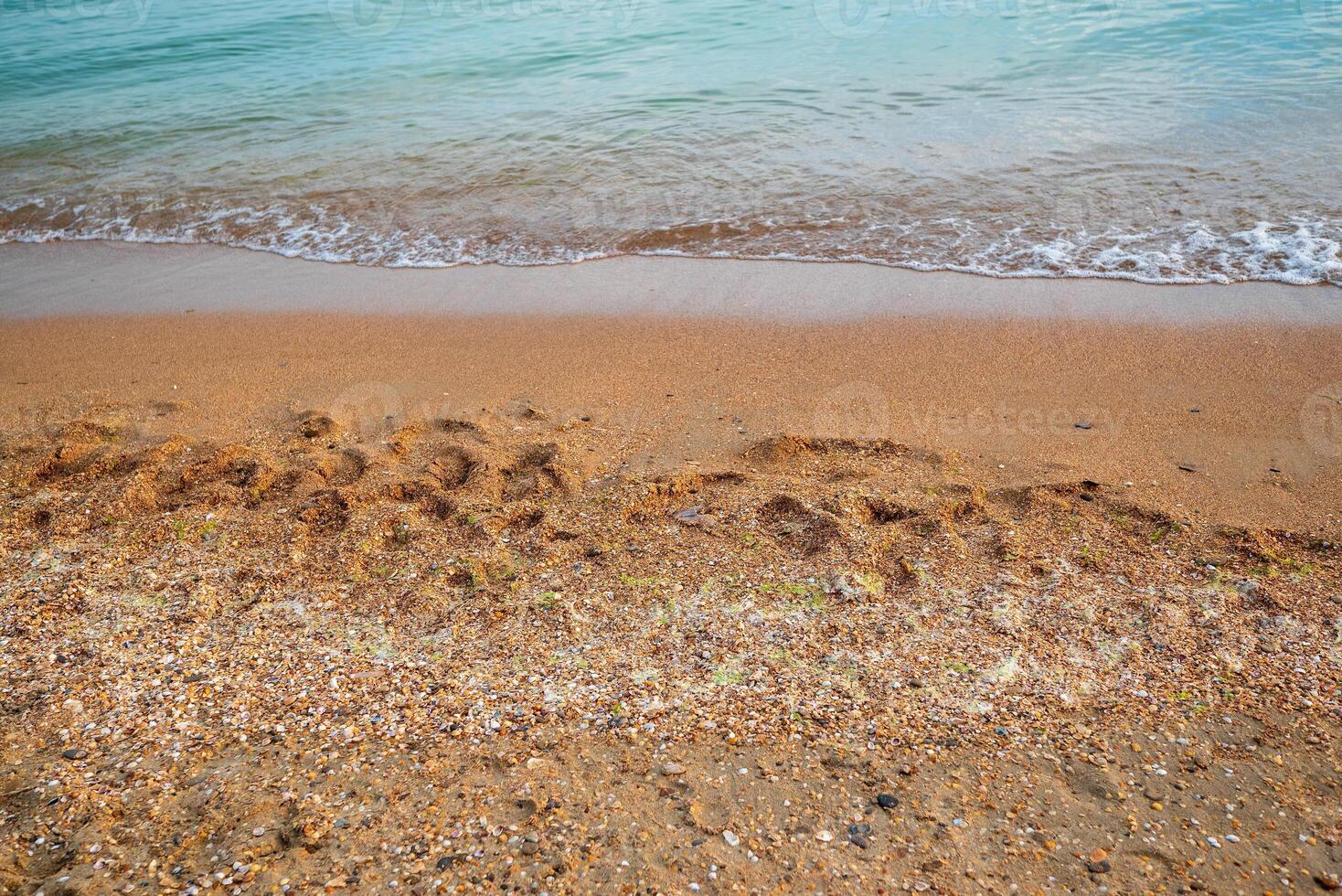 sandy beach with shells and turquoise sea photo