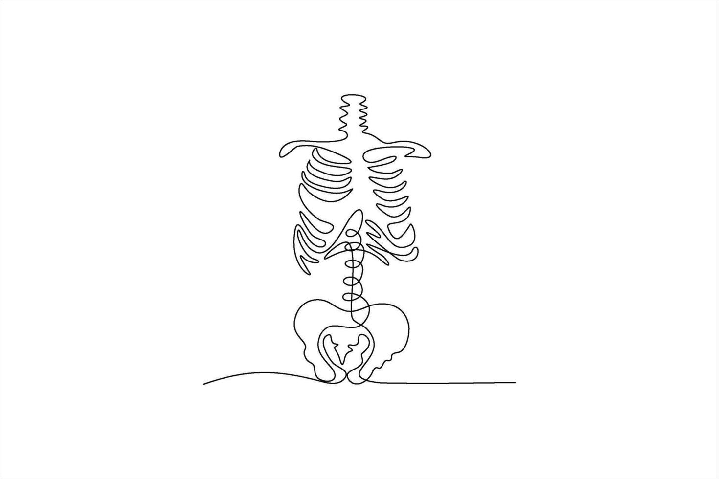 human skeleton continuous line illustration design vector