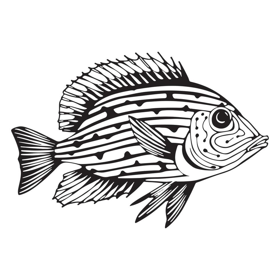 Hand Drawn Outline Sketch Fishes. Ink Drawing Sea Creature Mascot. . illustration vector
