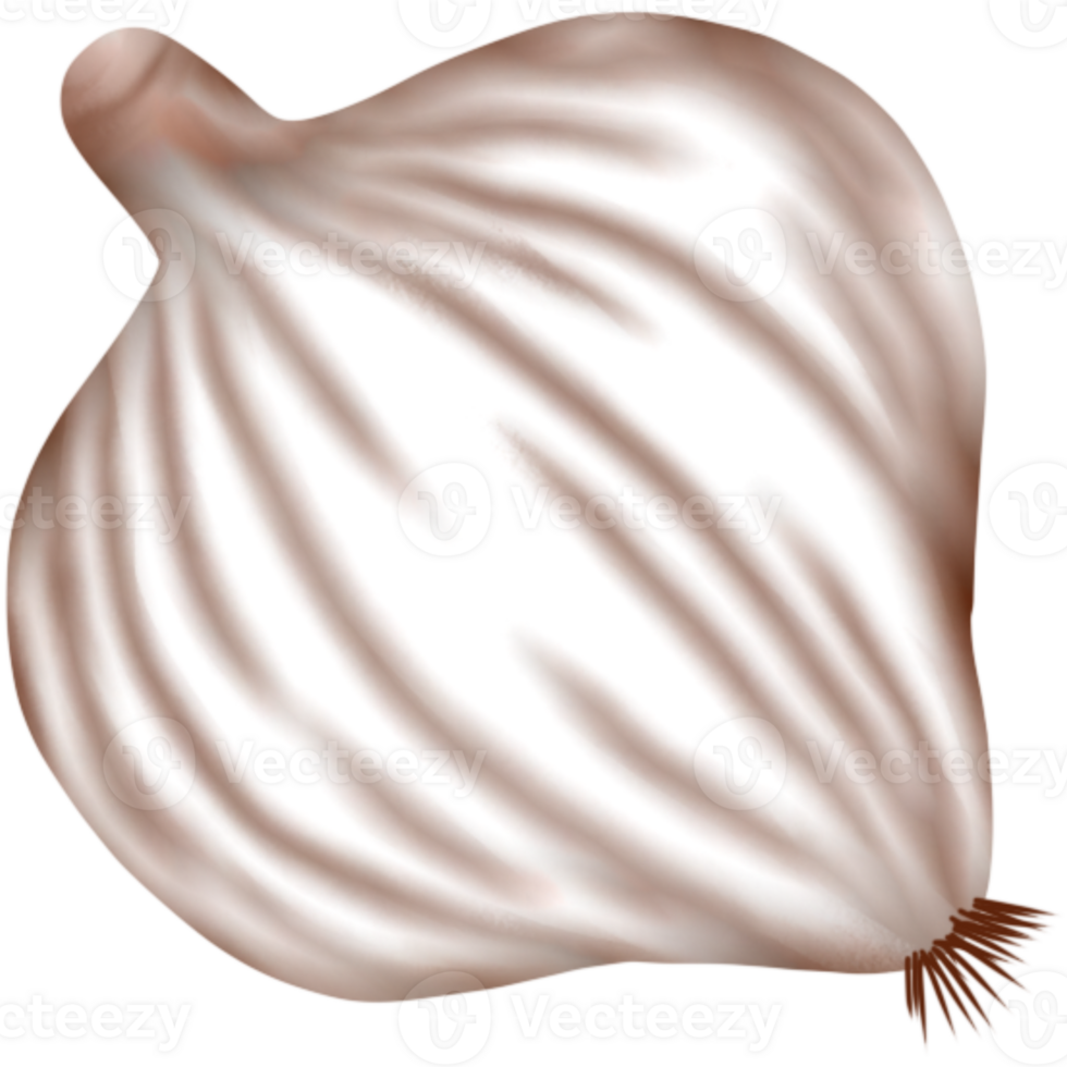 the vegetables garlic png