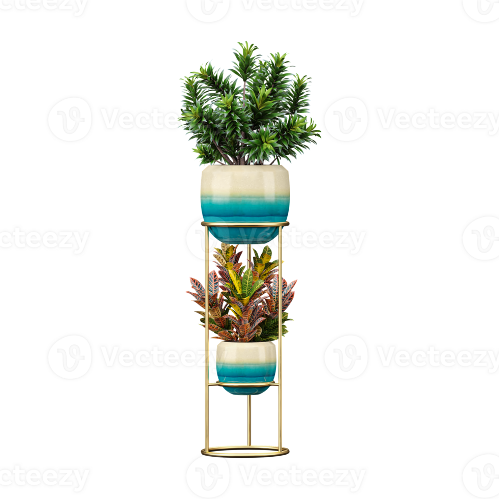 3d illustration of decorative plant set isolated on transparent Canvas png