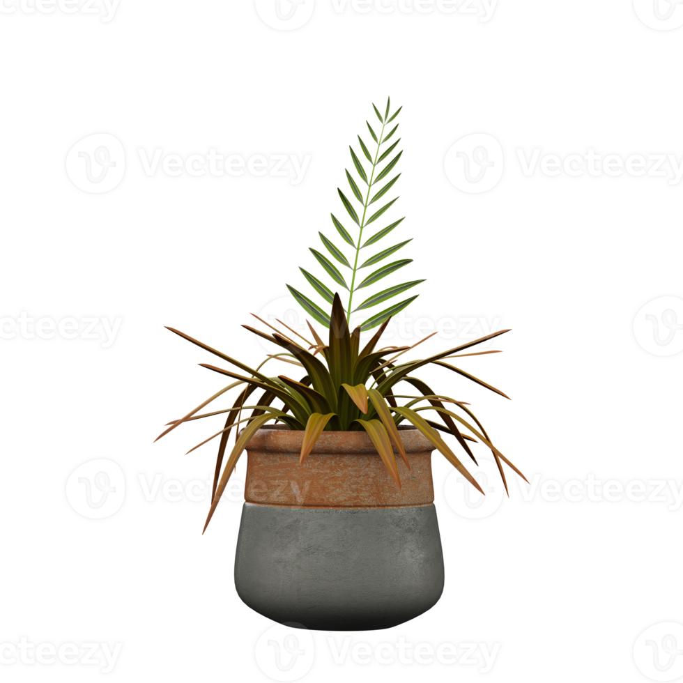 3d rendering of Palm branch plant in pot isolated on transparent Canvas png