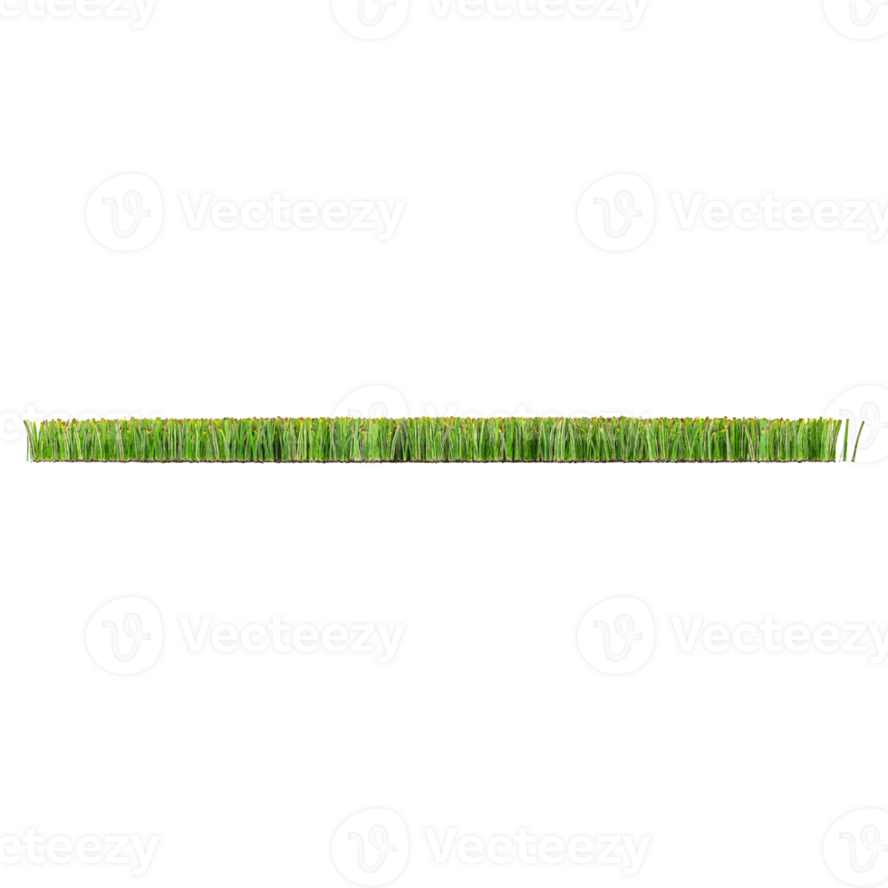 3d illustration of set grass isolated on transparent Canvas png