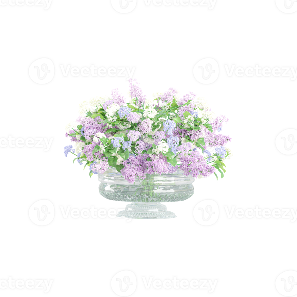 Common lilac flower plant in pot on isolated Canvas png
