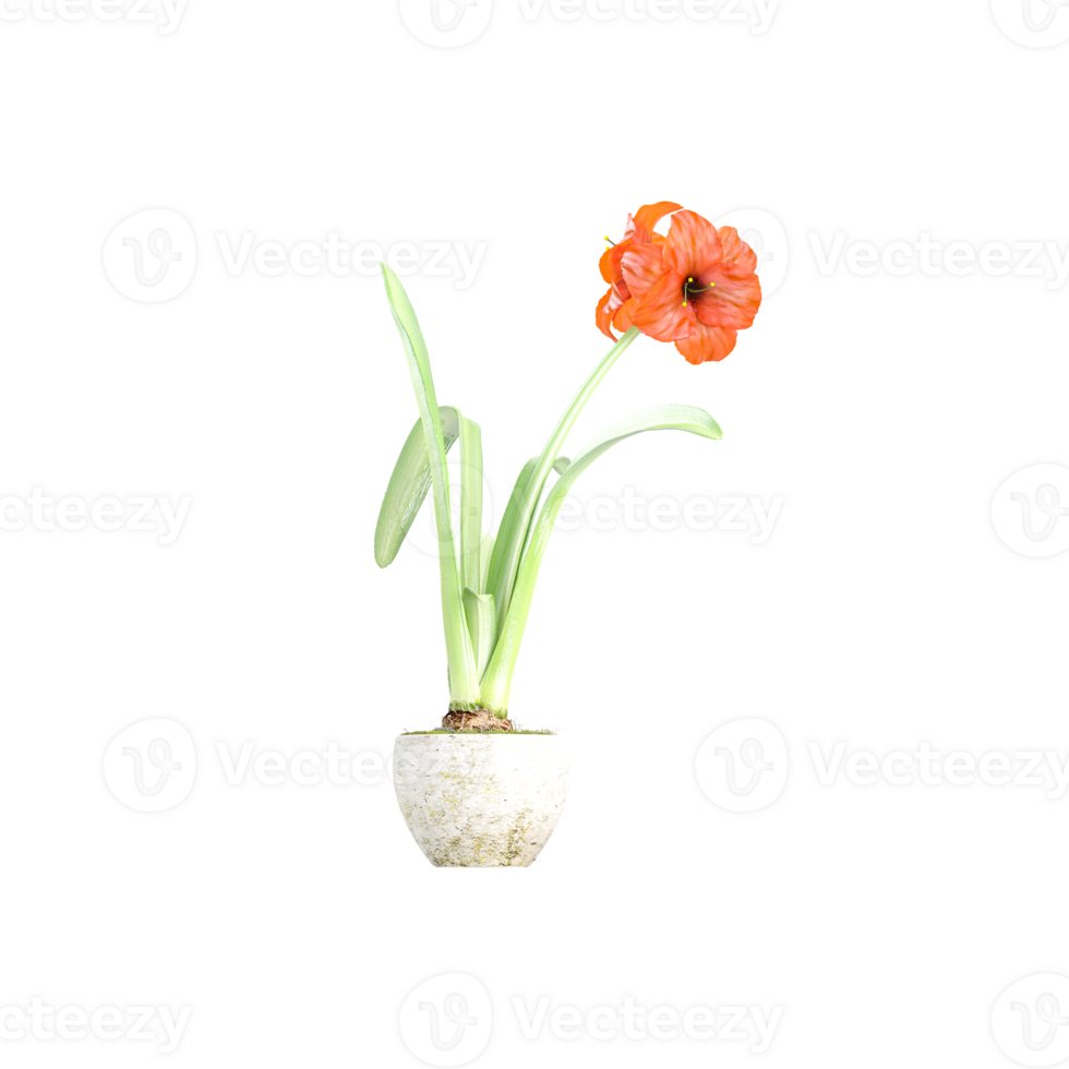 3d rendering of Gladiolus flowers plants in pots isolated on Canvas png