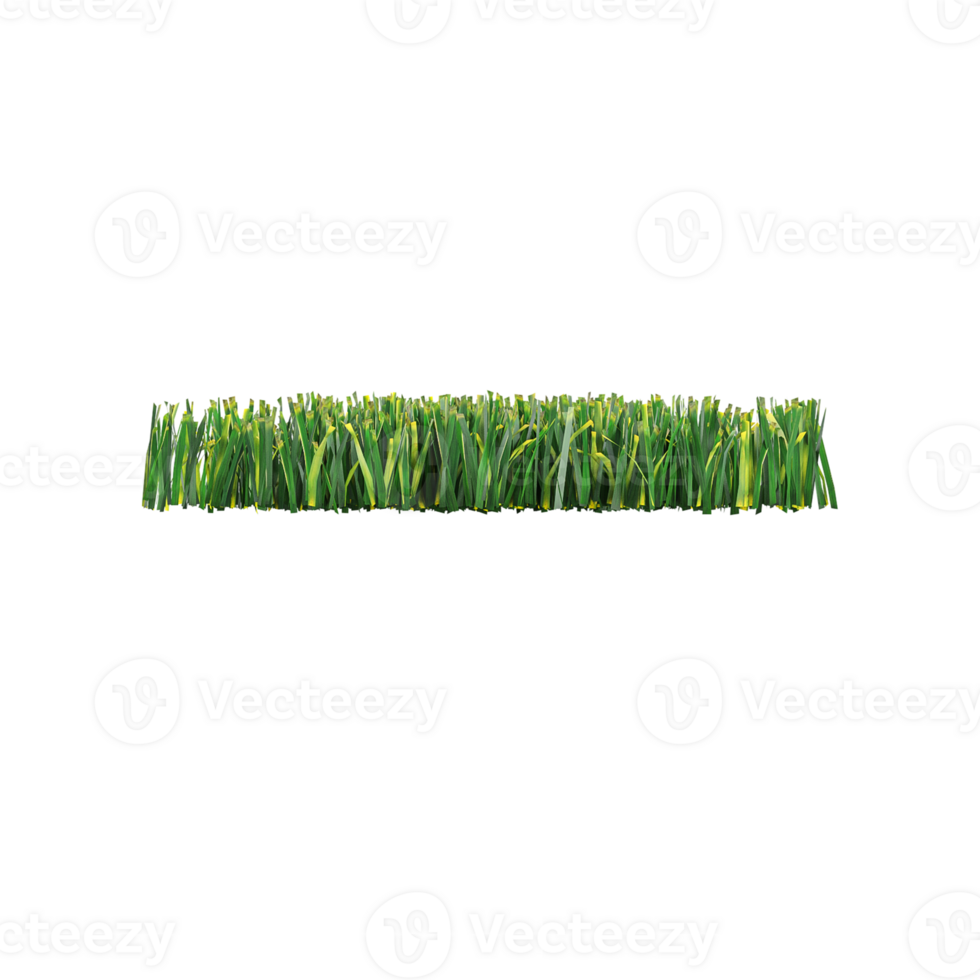 Fresh green grass isolated on transparent Canvas png