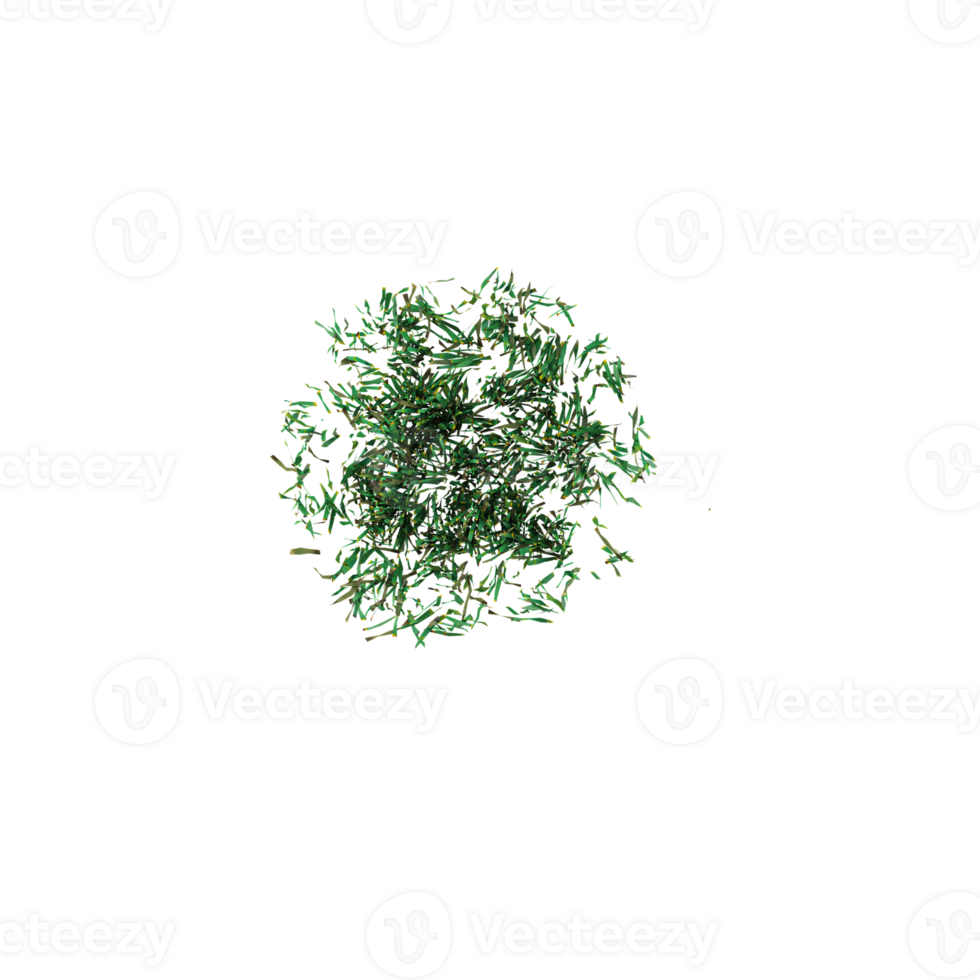 3d illustration of set grass isolated on transparent Canvas from the top view png