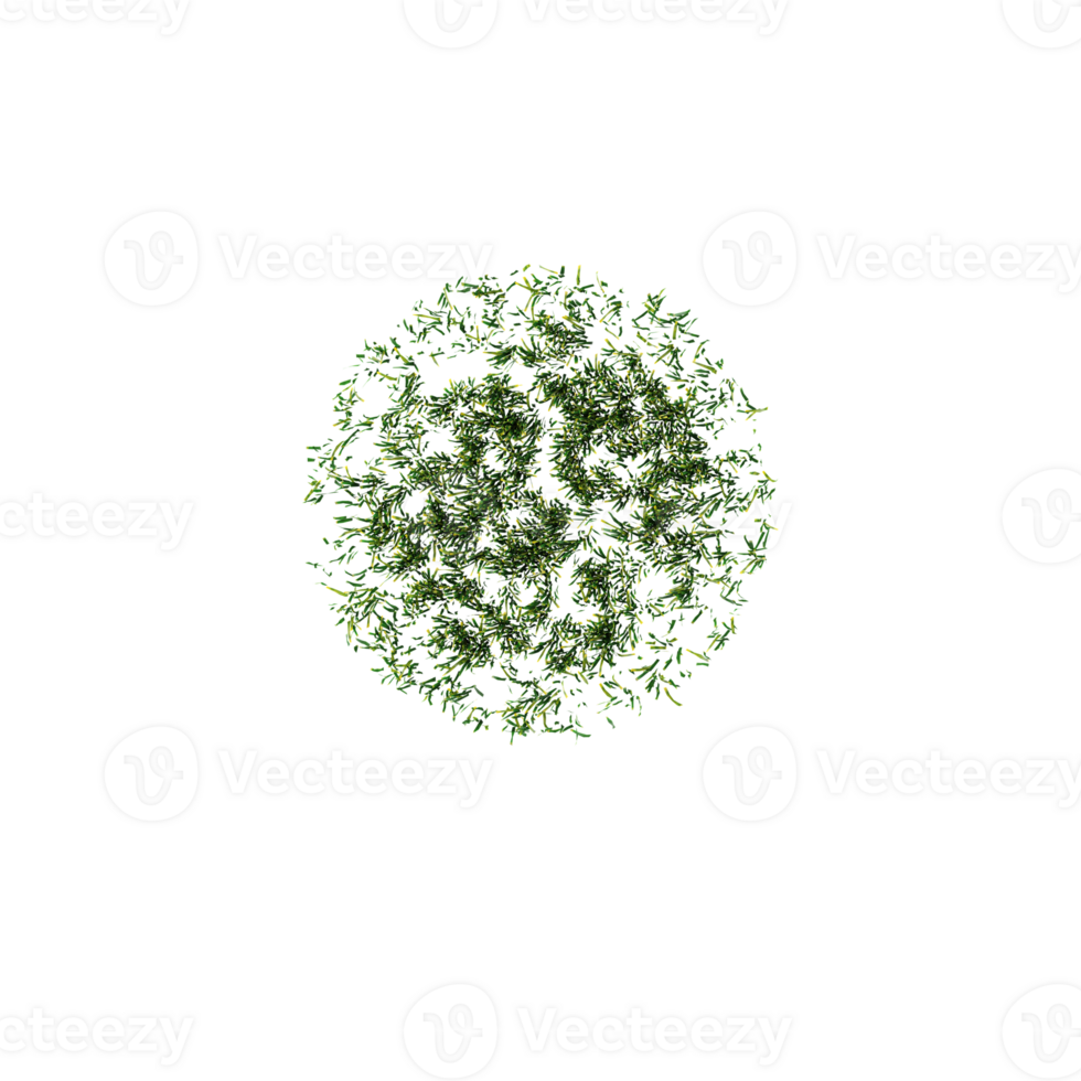 Natural fresh green grass cut out canvas from the top view png