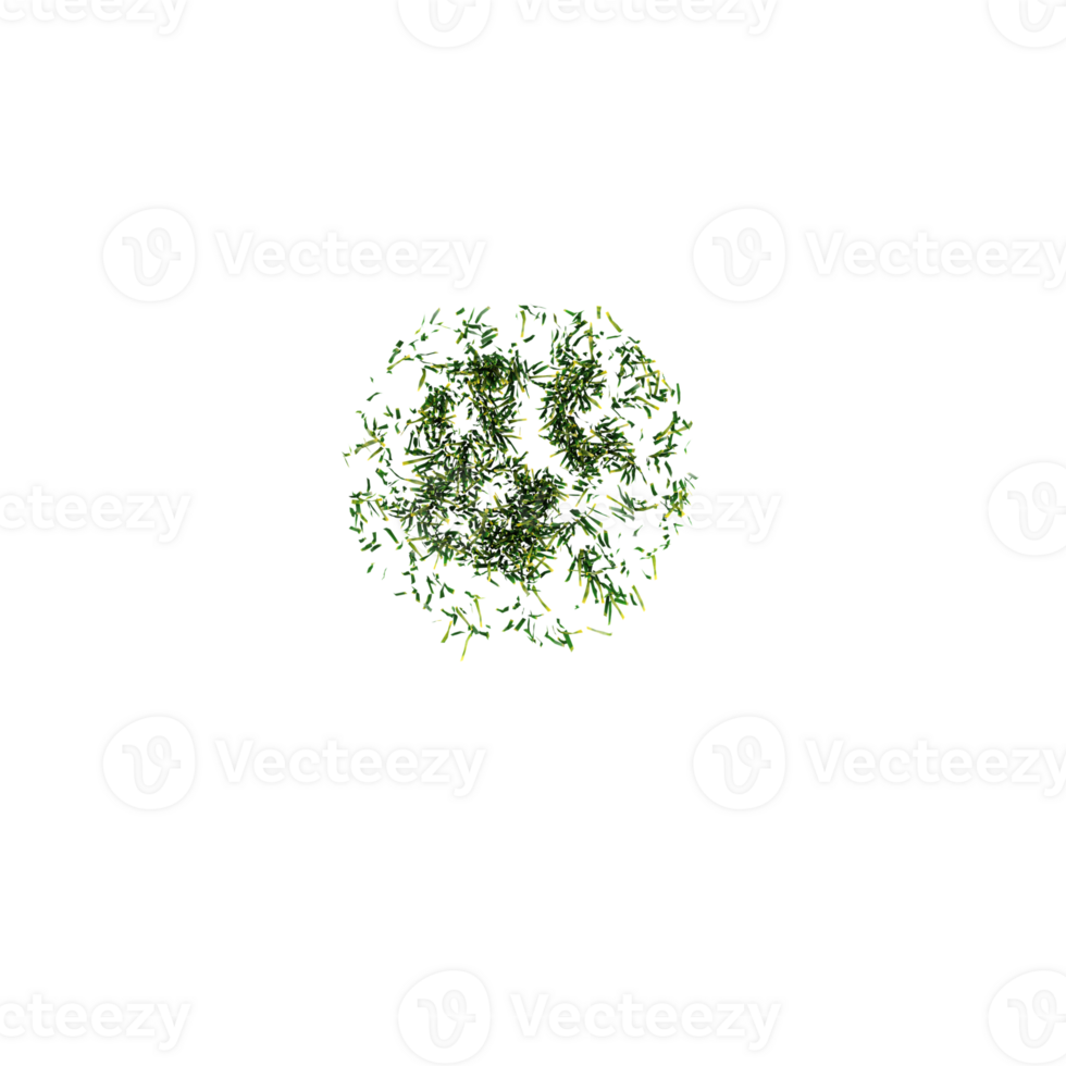 Green grass isolated on transparent Canvas from the top view png